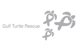 FedEx Turtle Rescue